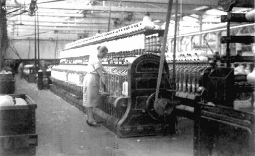 швейное производство bogner