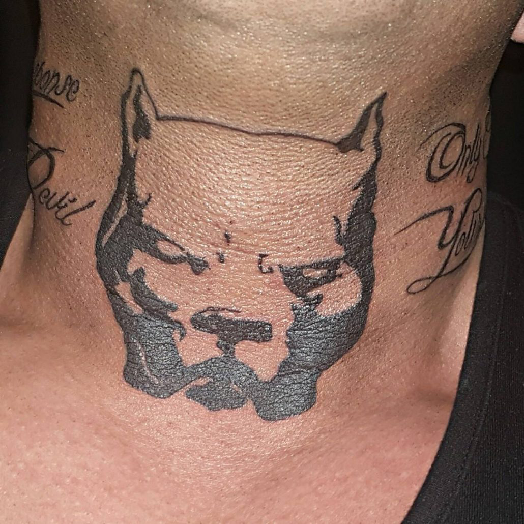 Pit Bull tatoo