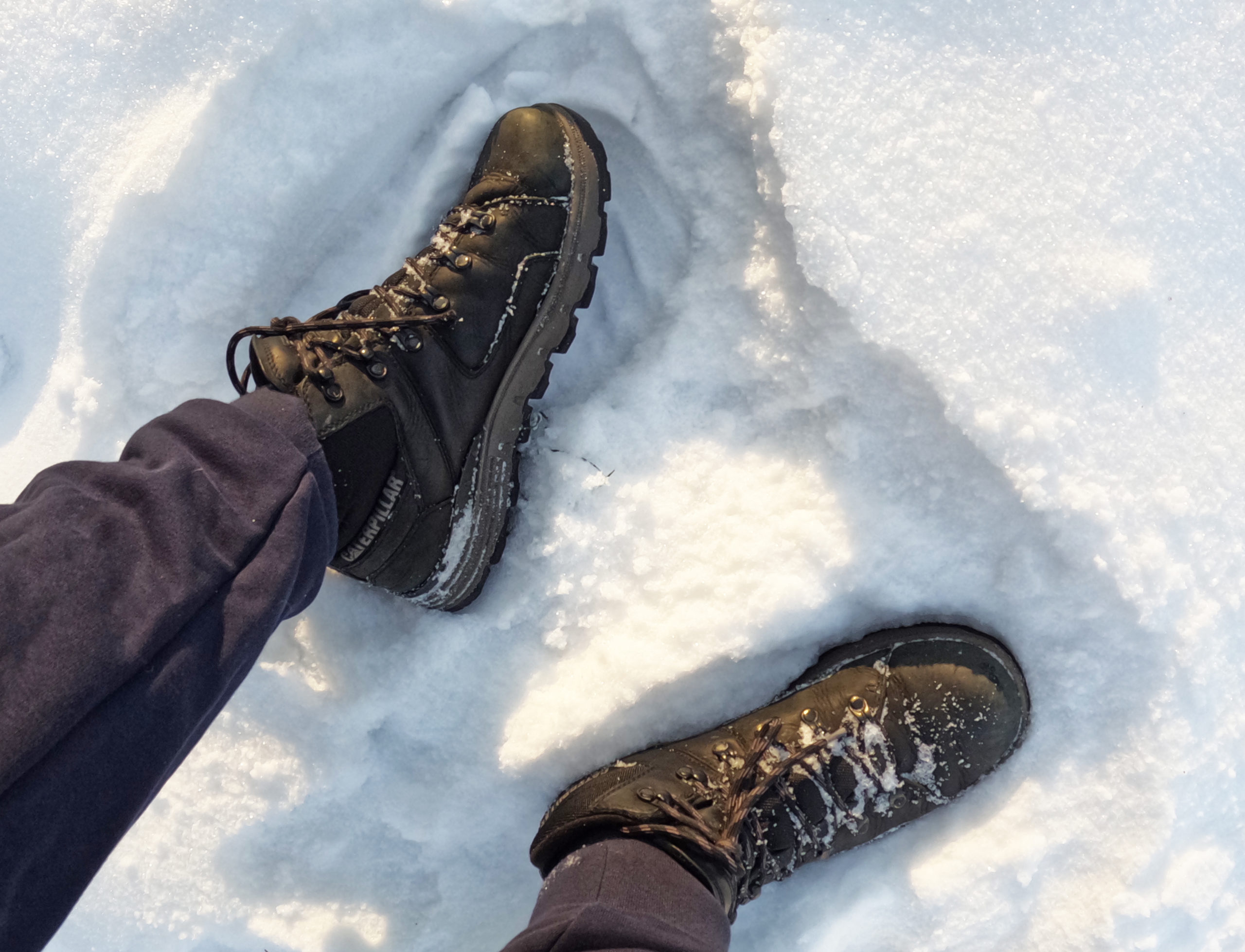 cat ботинки снег