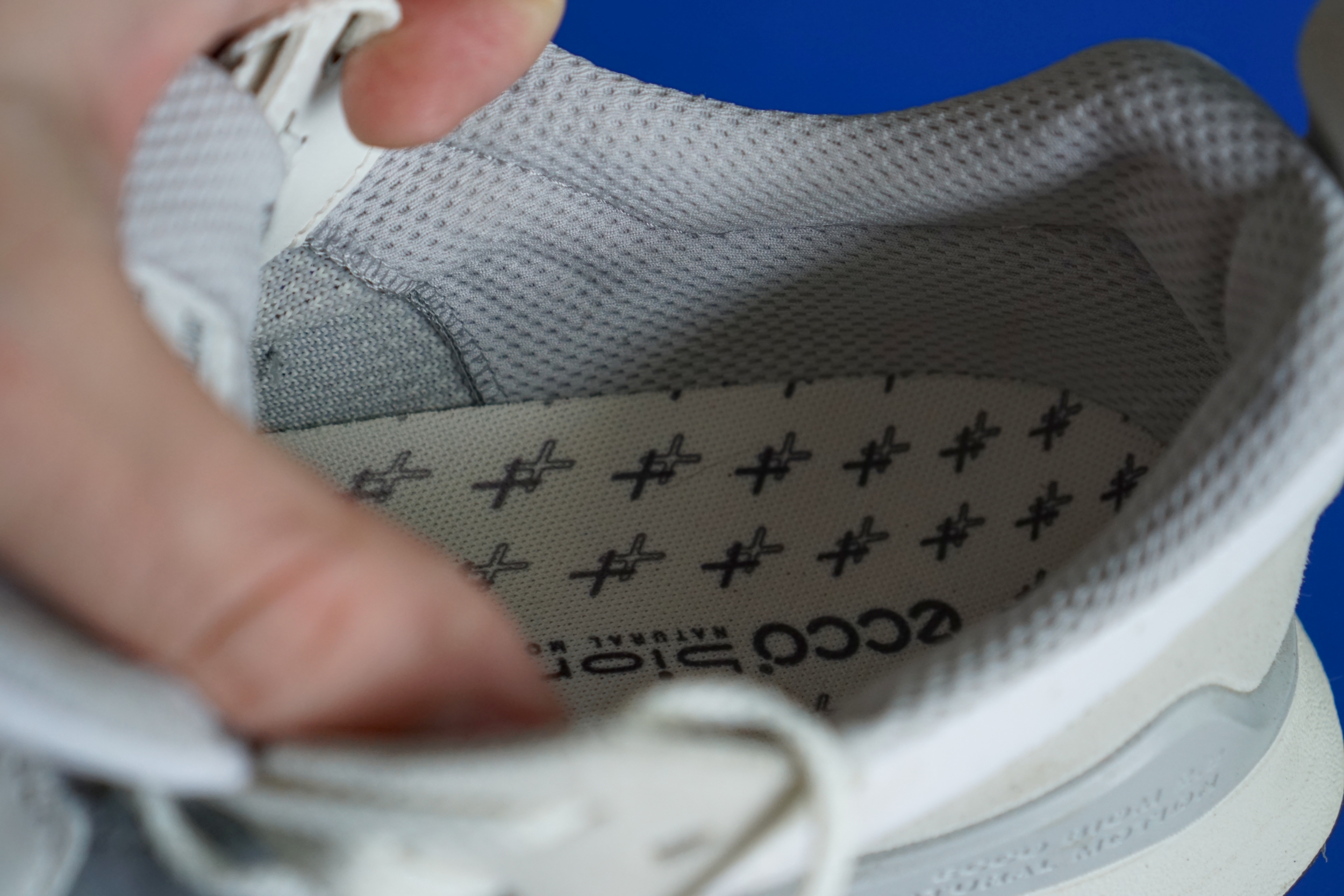 ecco-biom-внутри