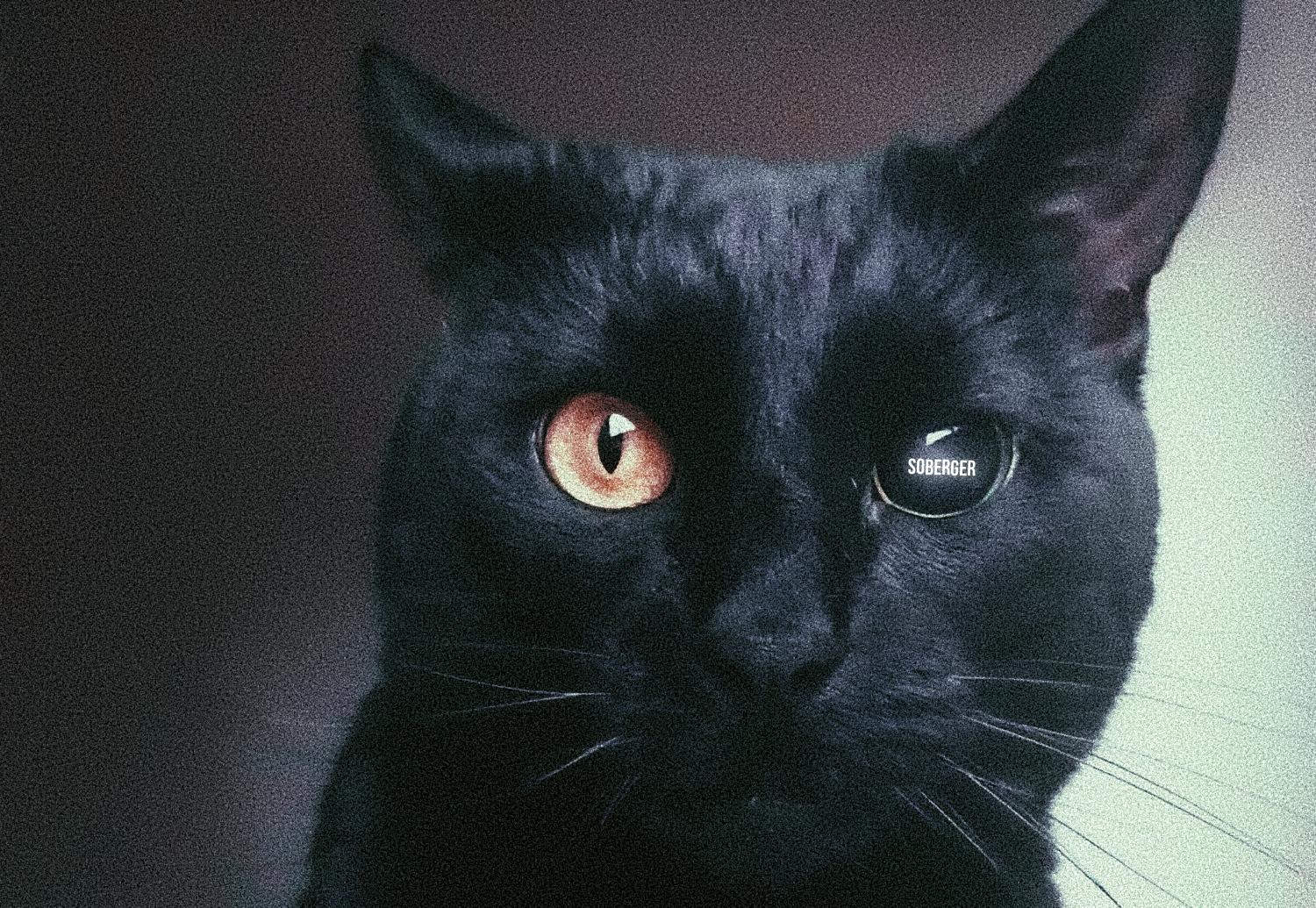 fake мое отношение