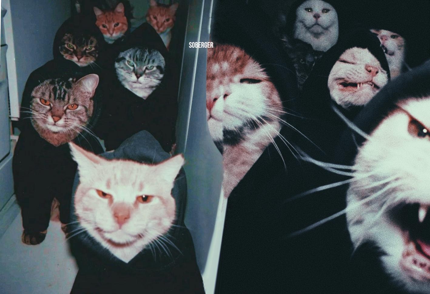 подборка худи