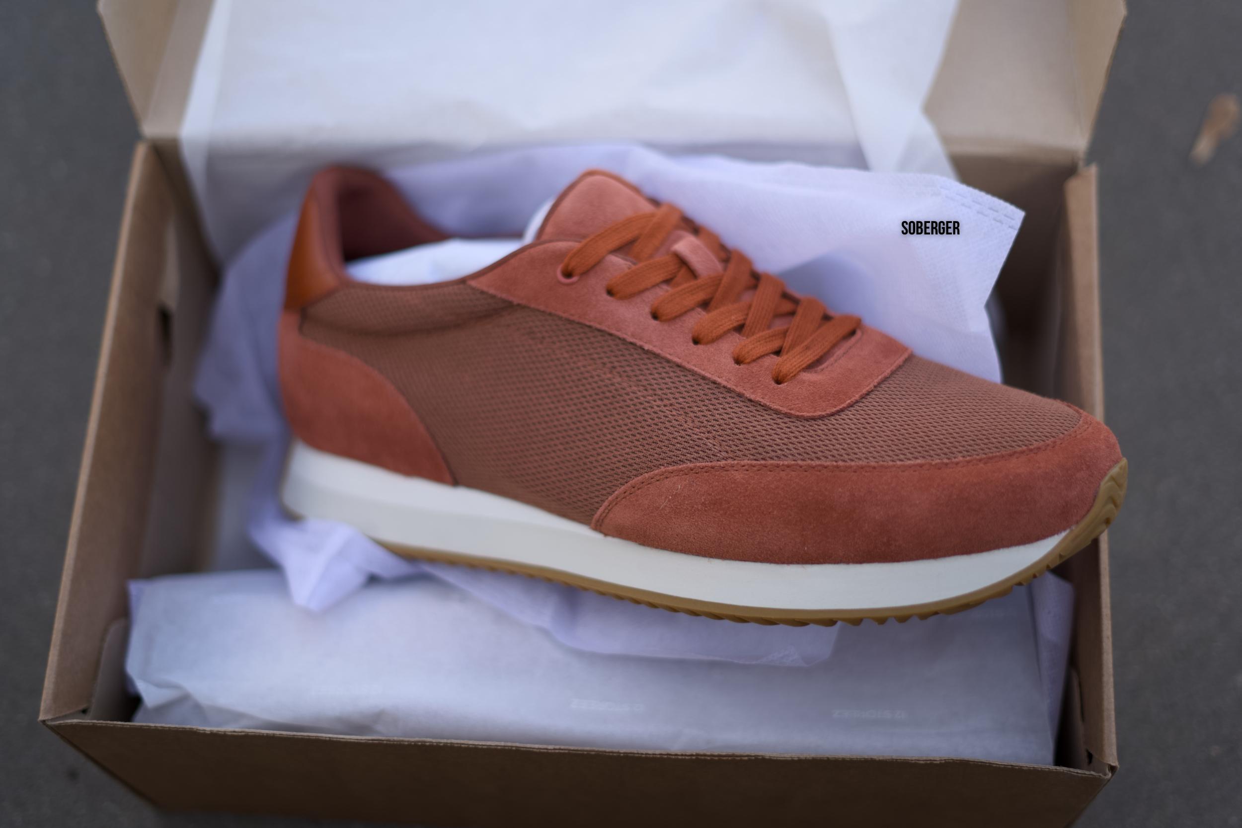 12 историй главный