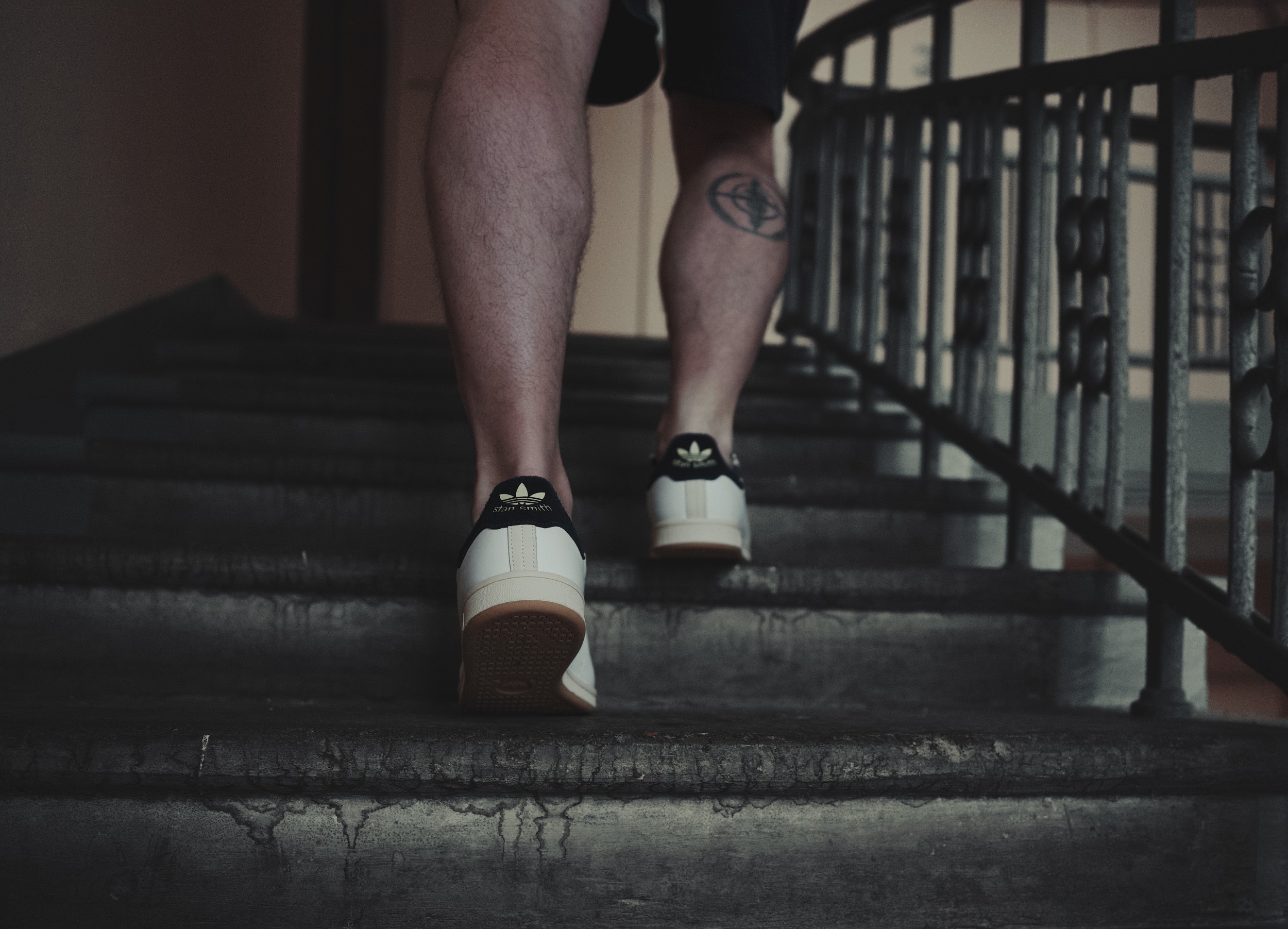 Братва, давно хотел накатать небольшой обзор на adidas Stan Smith. Казалось бы, ну что тут писать: белые кеды, которые знают все. Но версий у этой модели развелось столько, что впору отдельную энциклопедию издавать. Так что давайте разберёмся, что к чему. Братва, давно хотел накатать небольшой обзор на adidas Stan Smith. Казалось бы, ну что тут писать: белые кеды, которые знают все. Но версий у этой модели развелось столько, что впору отдельную энциклопедию издавать. Так что давайте разберёмся, что к чему.