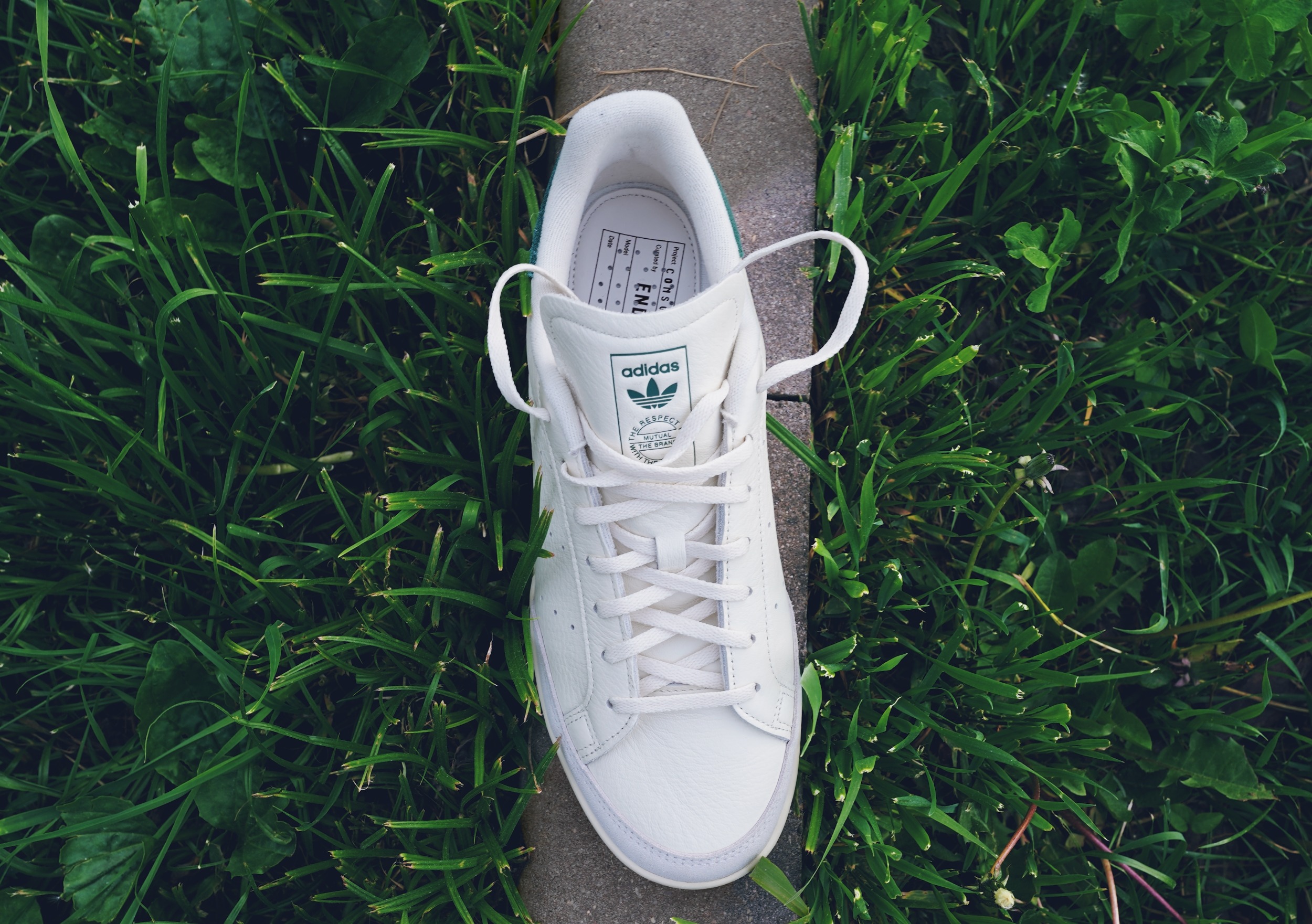 adidas Consortium