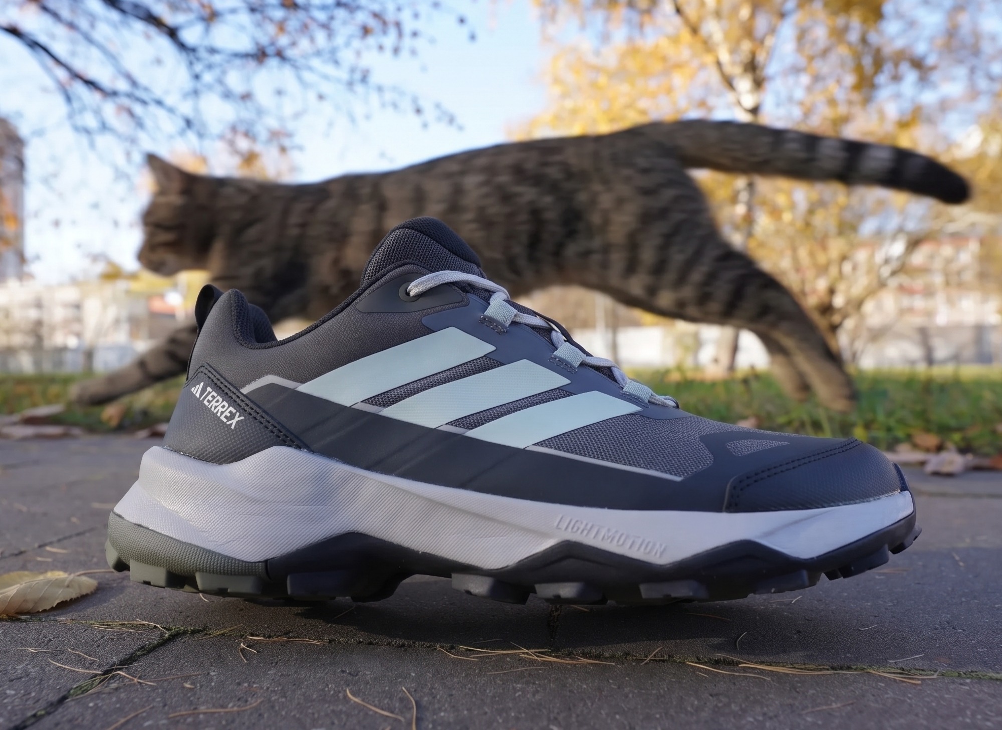 Давно я вам не закидывал про adidas. И тут смотрю лежат они! Три полоски, понимаете? Не две, не четыре, как у тех, кто считать не умеет, а три. Это же уже давно как код ДНК.
